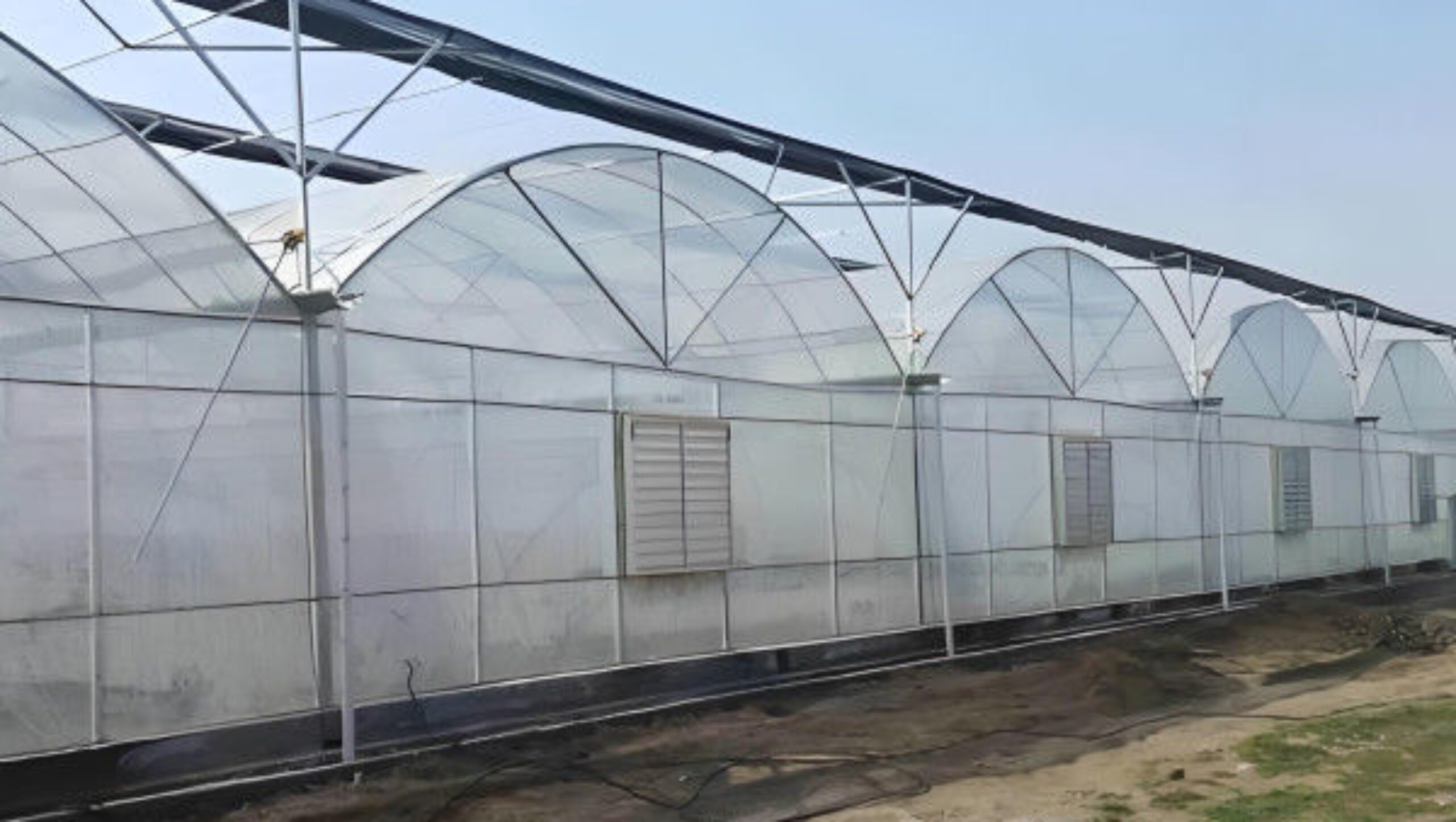 Galvanized Steel Multispan Commercial Polycarbonate Greenhouse Customized Length