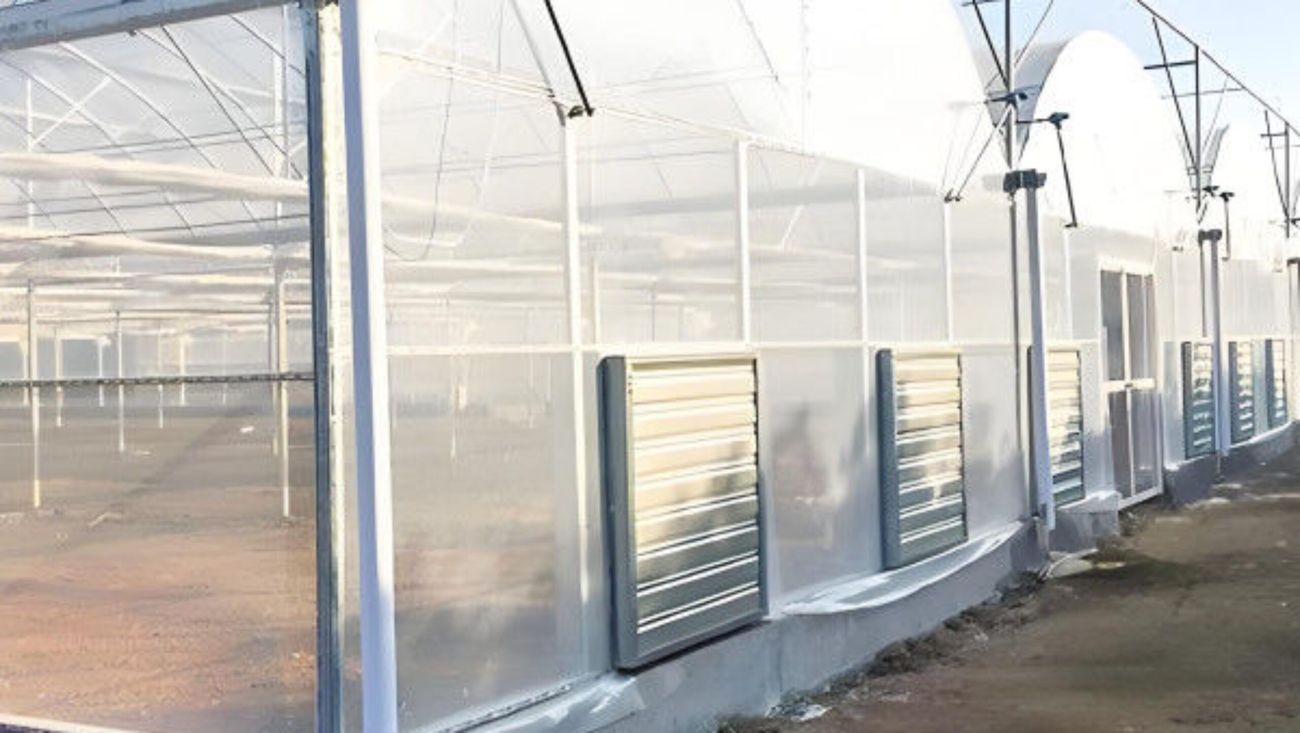 Galvanized Steel Multispan Commercial Polycarbonate Greenhouse Customized Length
