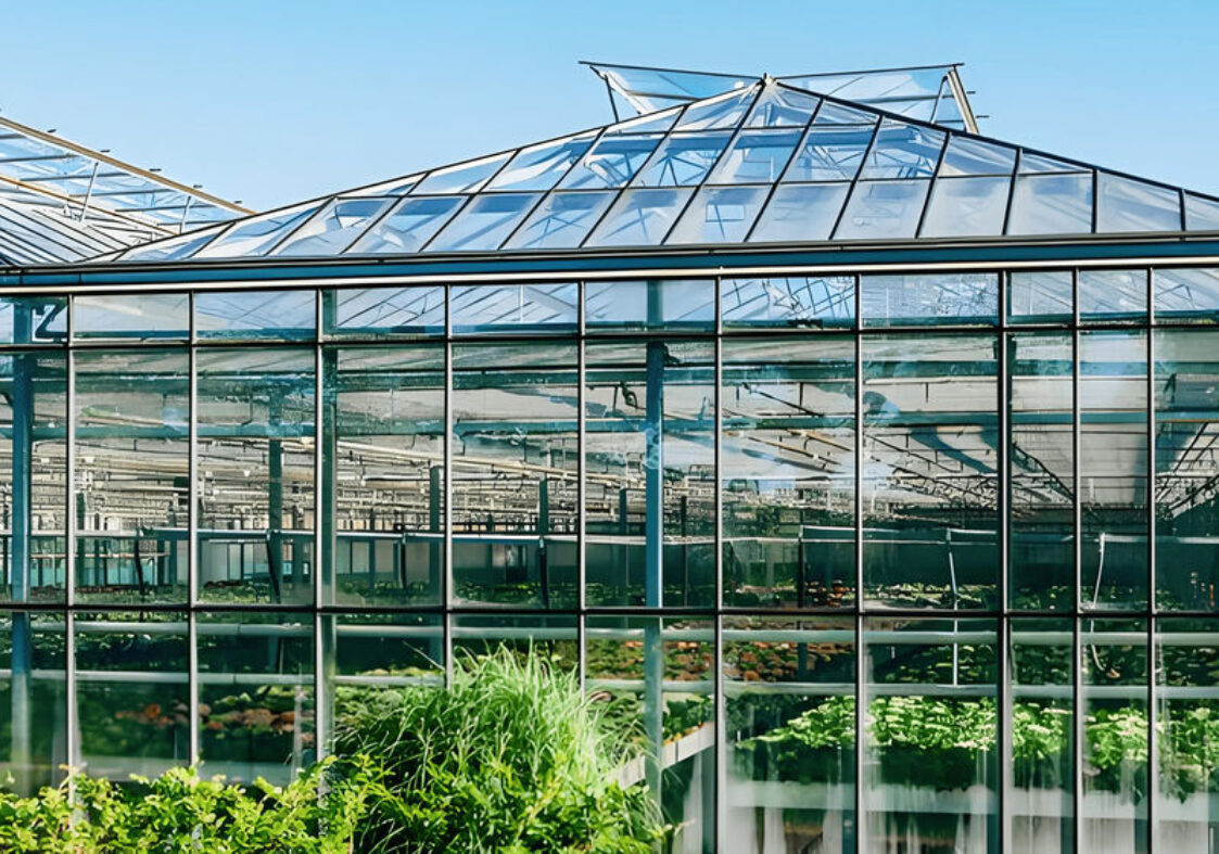 Glass Film Polycarbonate Greenhouse Flower Greenhouse With Intelligent Systems