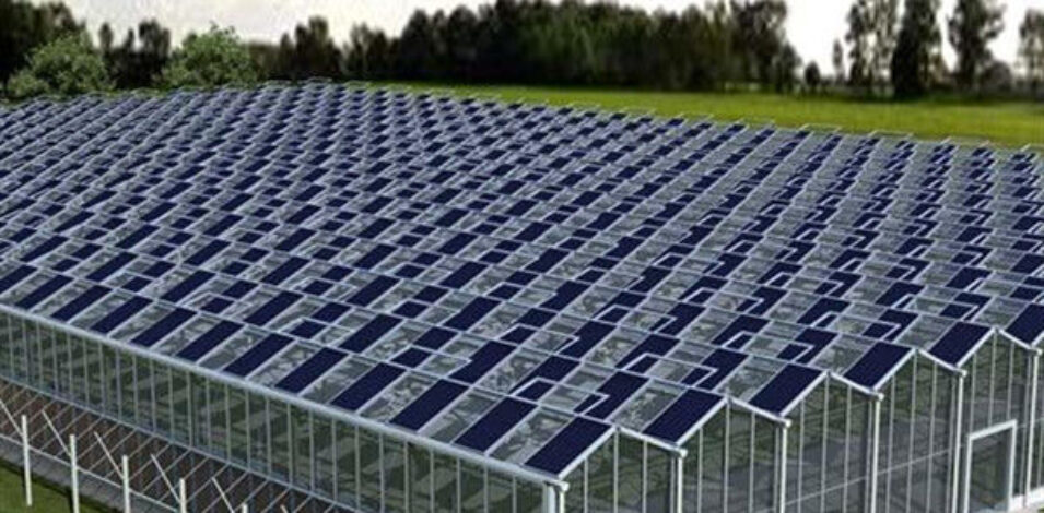 Glass Polycarbonate Cover Photovoltaic Greenhouse Include Automated Sytems