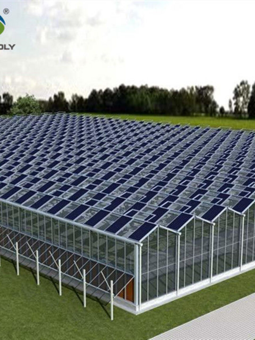 Glass Polycarbonate Cover Photovoltaic Greenhouse Include Automated Sytems