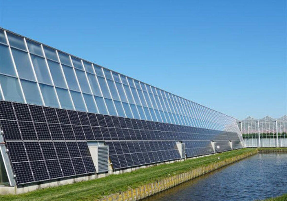 Glass Polycarbonate Cover Photovoltaic Greenhouse Include Automated Sytems