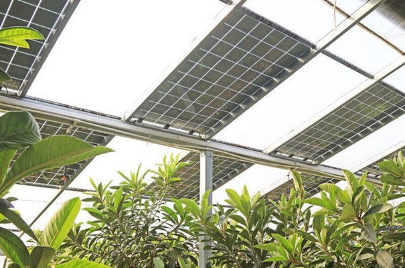 Glass Polycarbonate Cover Photovoltaic Greenhouse Include Automated Sytems
