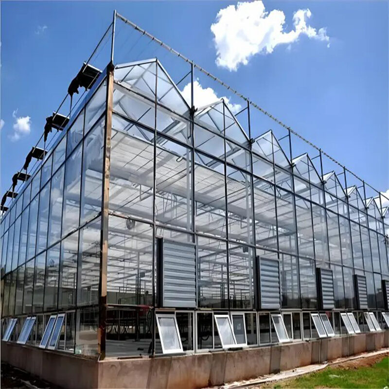 Global commercial greenhouse supplier Venlo greenhouse for cultivation in cold regions