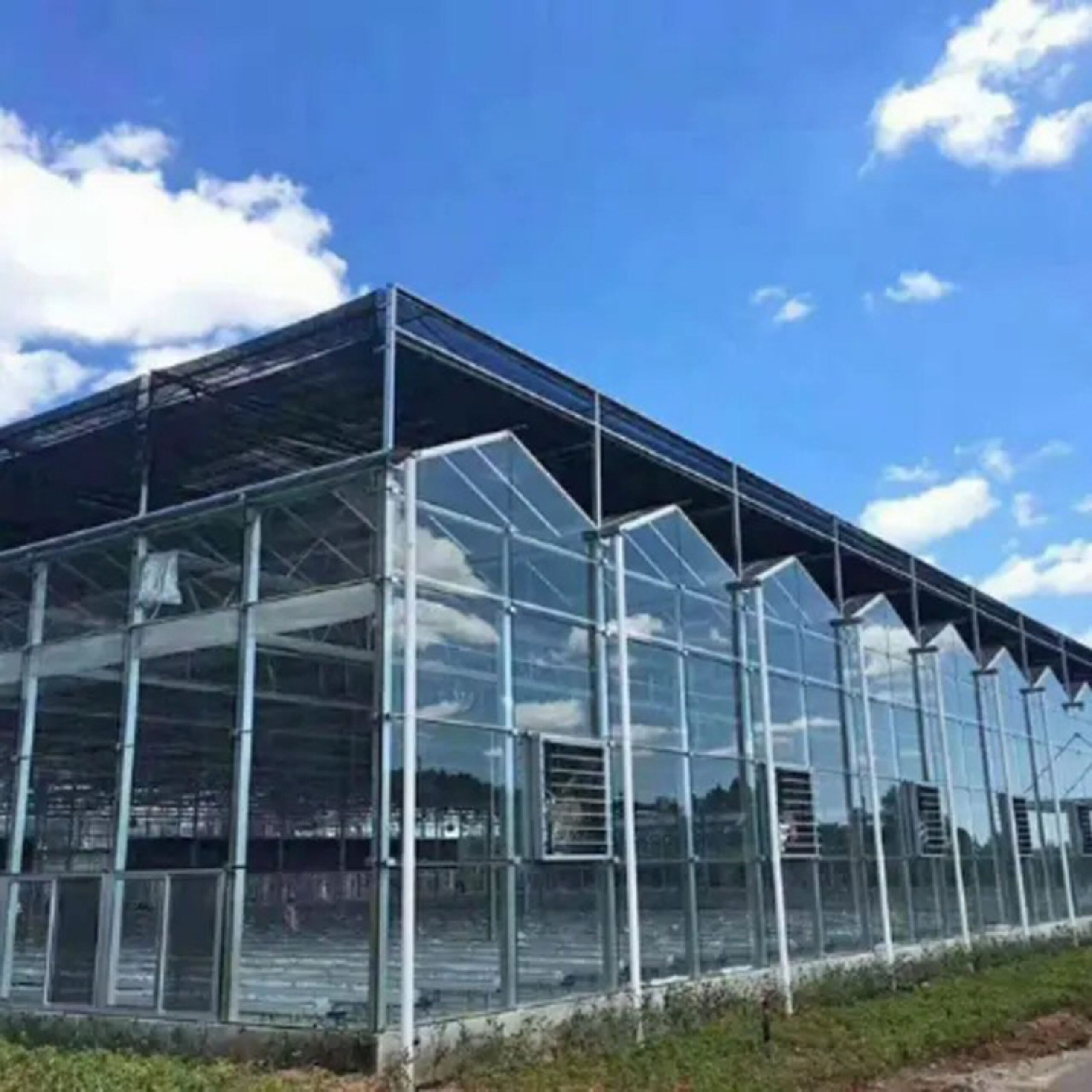 Global commercial greenhouse supplier Venlo greenhouse for cultivation in cold regions