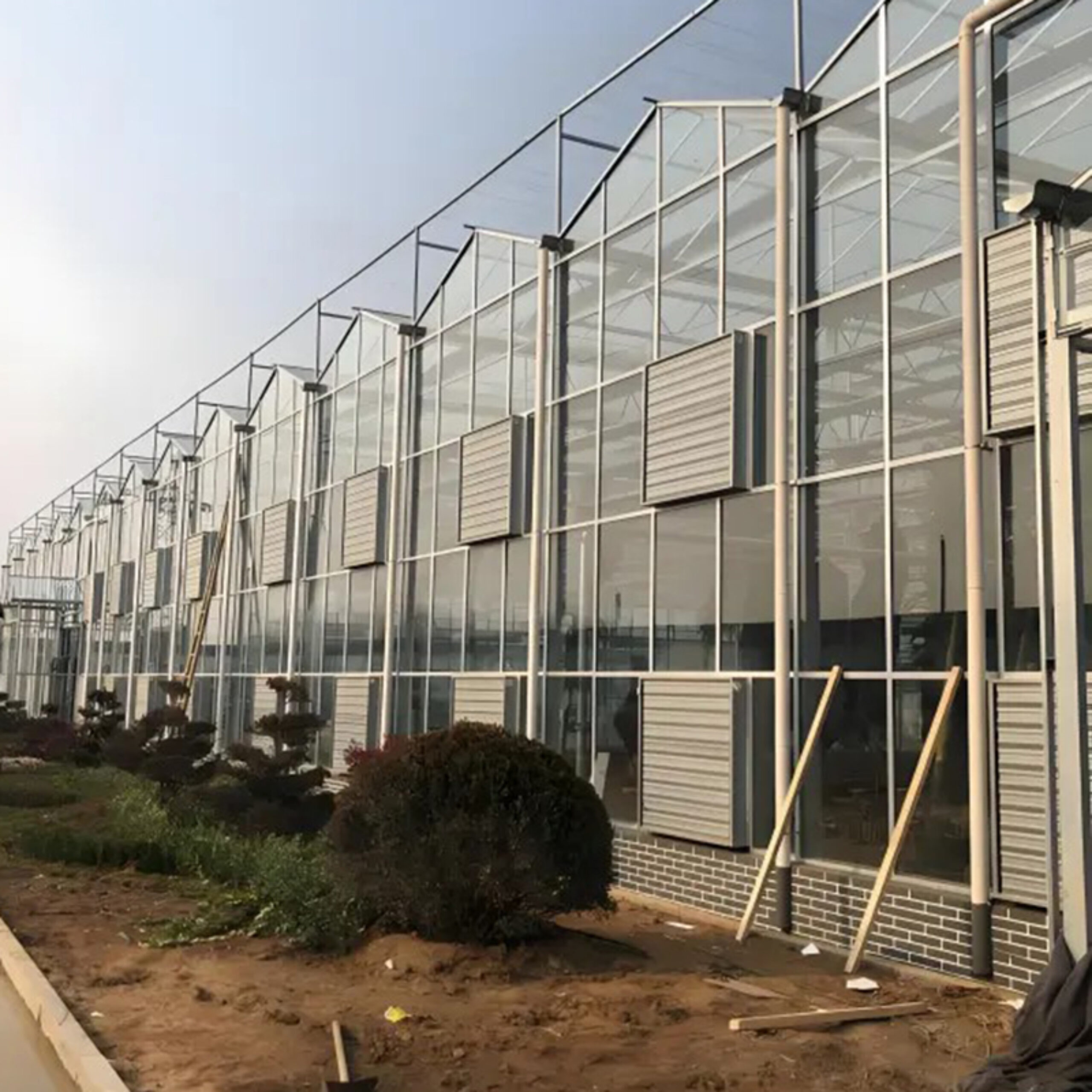 Global commercial greenhouse supplier Venlo greenhouse for cultivation in cold regions