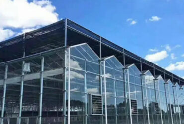 Global commercial greenhouse supplier Venlo greenhouse for cultivation in cold regions