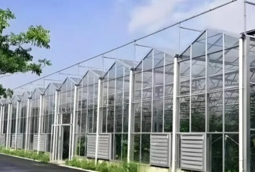 Global commercial greenhouse supplier Venlo greenhouse for cultivation in cold regions