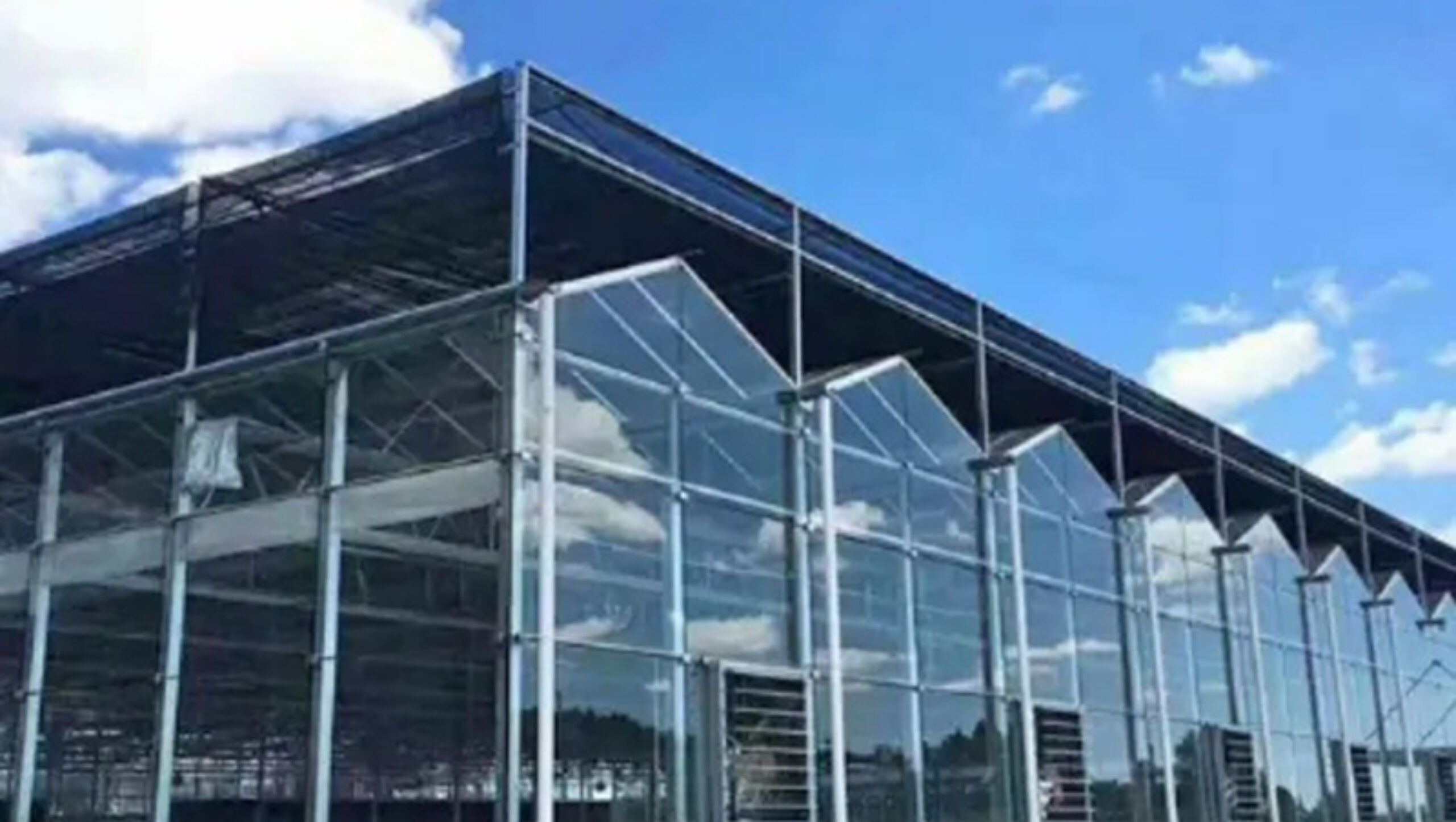 Global commercial greenhouse supplier Venlo greenhouse for cultivation in cold regions