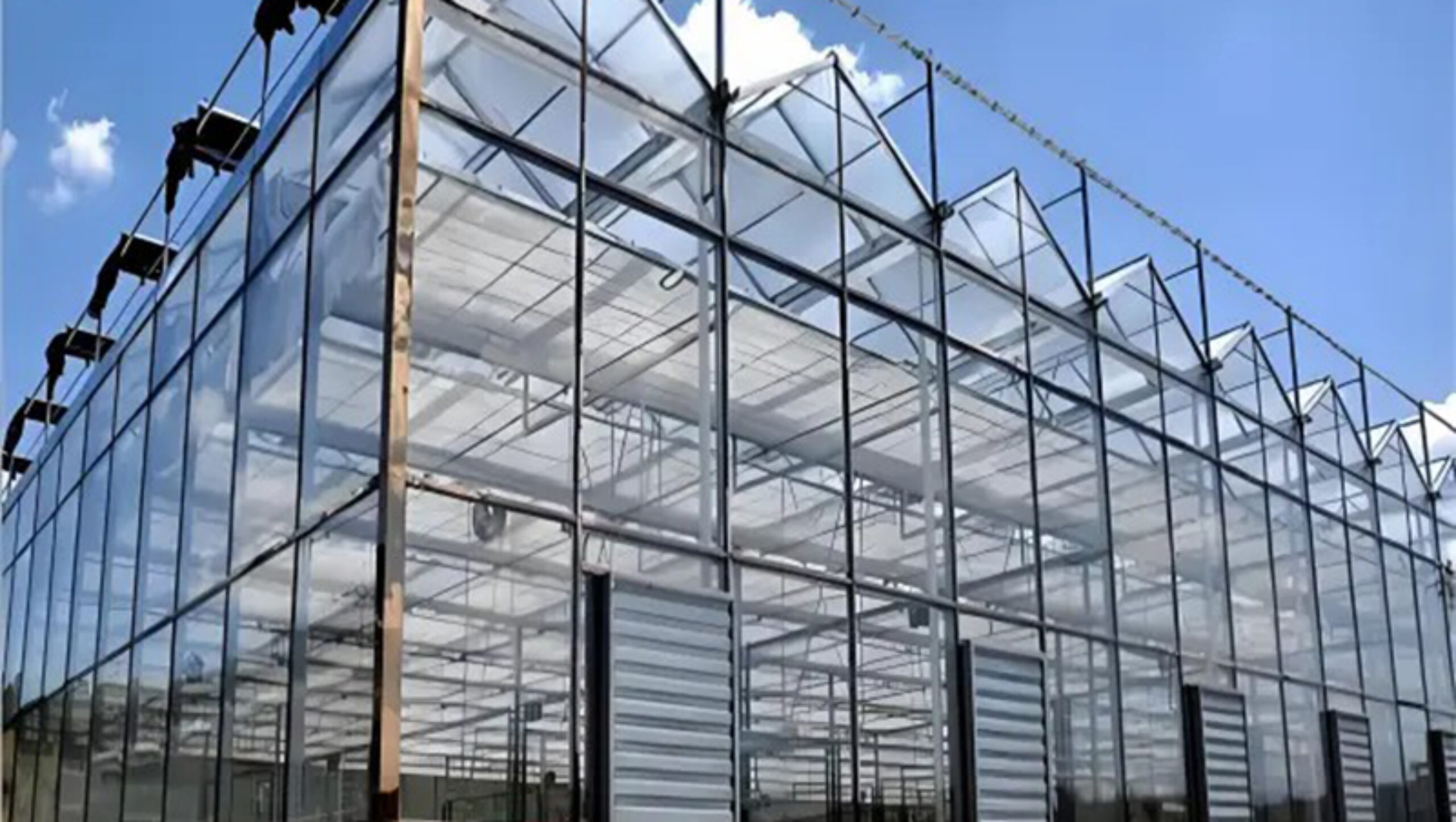 Global commercial greenhouse supplier Venlo greenhouse for cultivation in cold regions