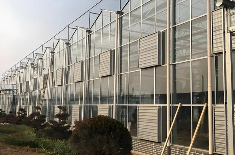 Global commercial greenhouse supplier Venlo greenhouse for cultivation in cold regions