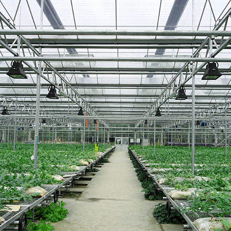 Global leading supplier manufacturing commercial polycarbonate greenhouse with built-in fully automated