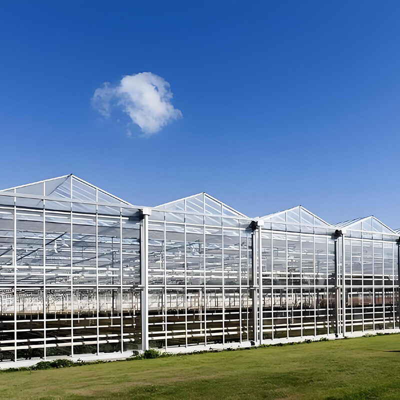 Global leading supplier manufacturing commercial polycarbonate greenhouse with built-in fully automated
