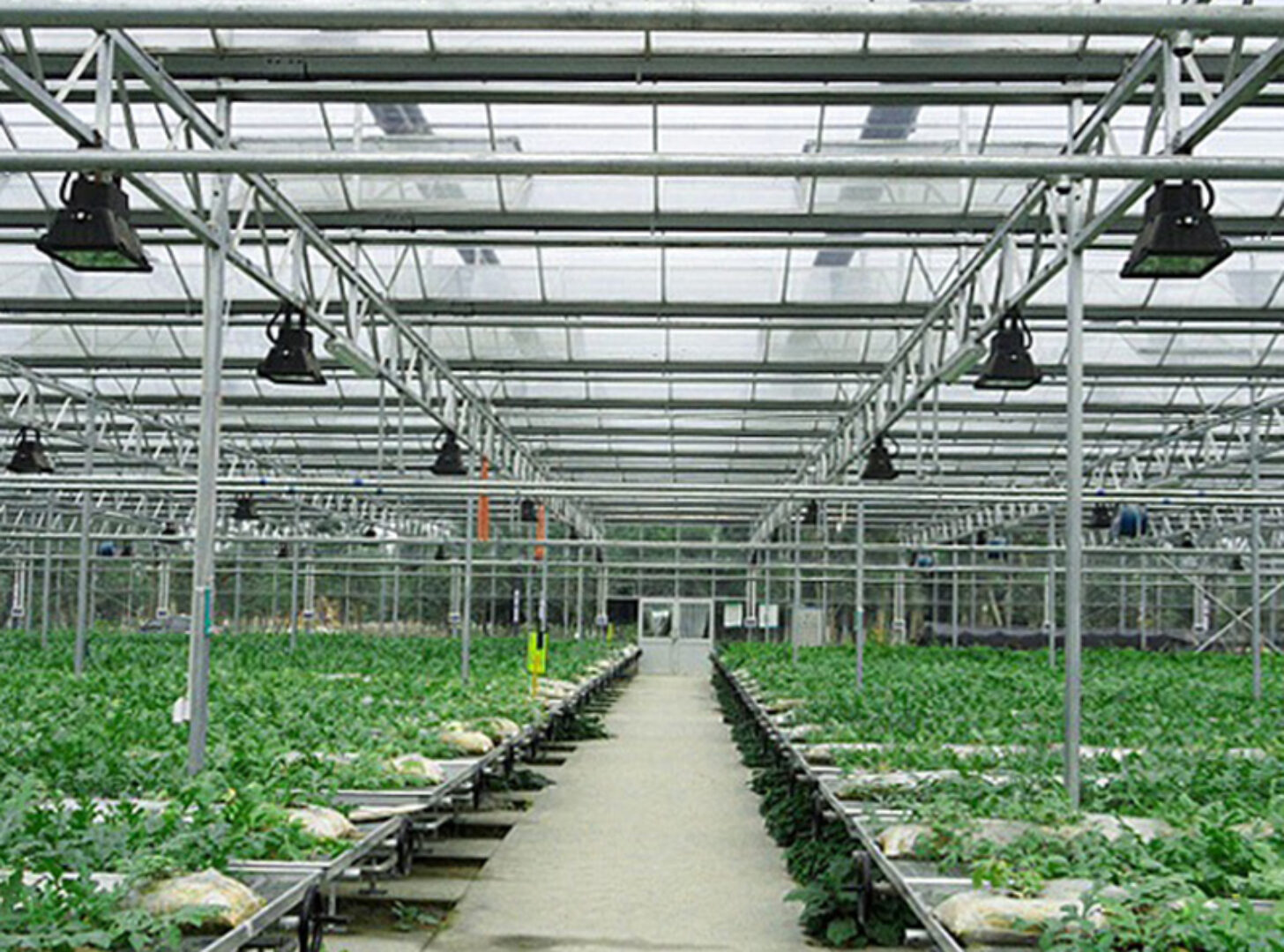 Global leading supplier manufacturing commercial polycarbonate greenhouse with built-in fully automated