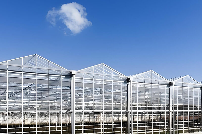 Global leading supplier manufacturing commercial polycarbonate greenhouse with built-in fully automated