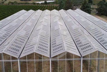 Good Insulation Multi Span Photovoltaic Greenhouse For Saving Power