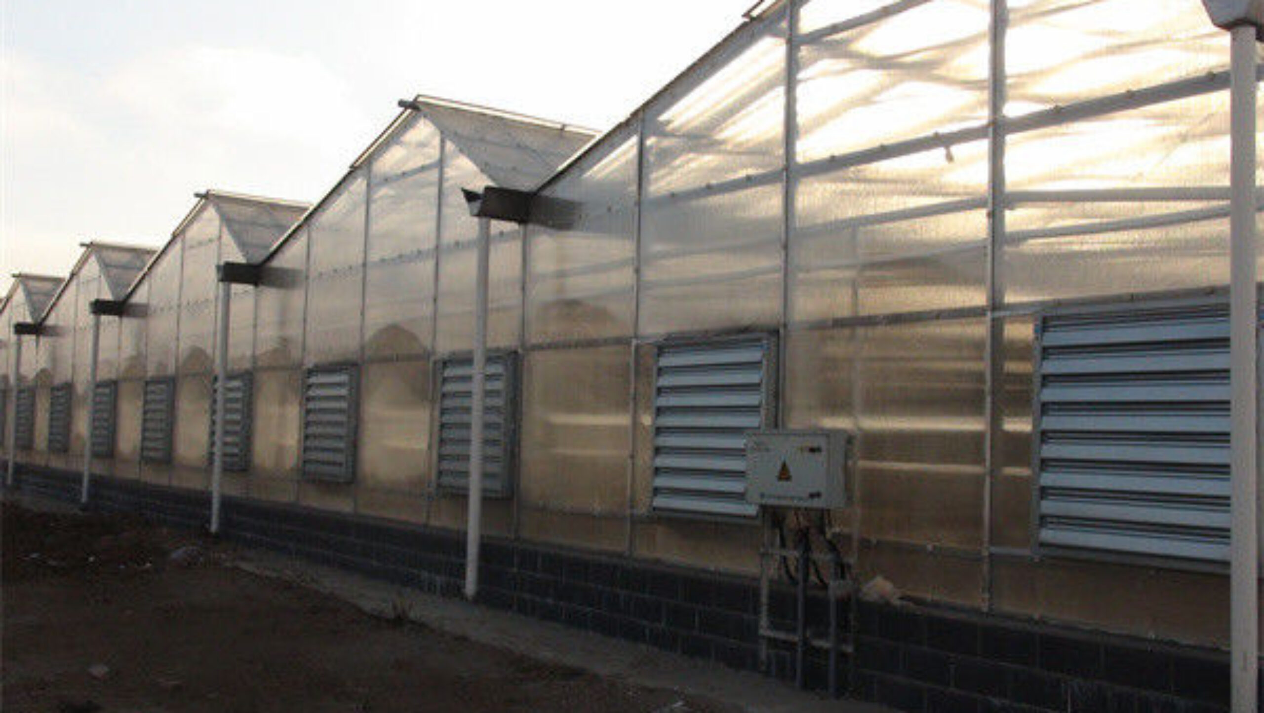 Good Insulation Multi Span Photovoltaic Greenhouse For Saving Power