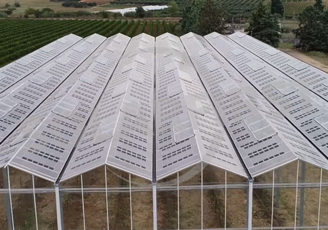 Good Insulation Multi Span Photovoltaic Greenhouse For Saving Power