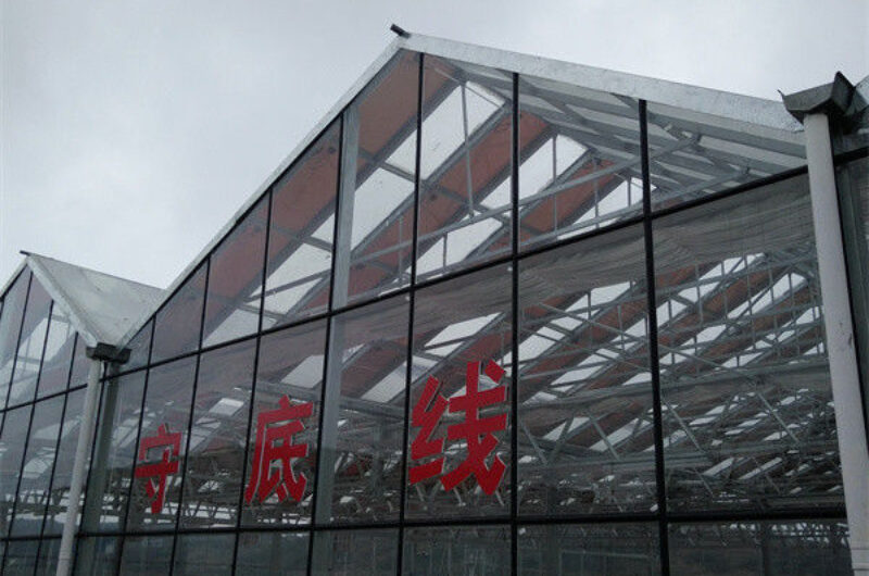 Good Insulation Multi Span Photovoltaic Greenhouse For Saving Power