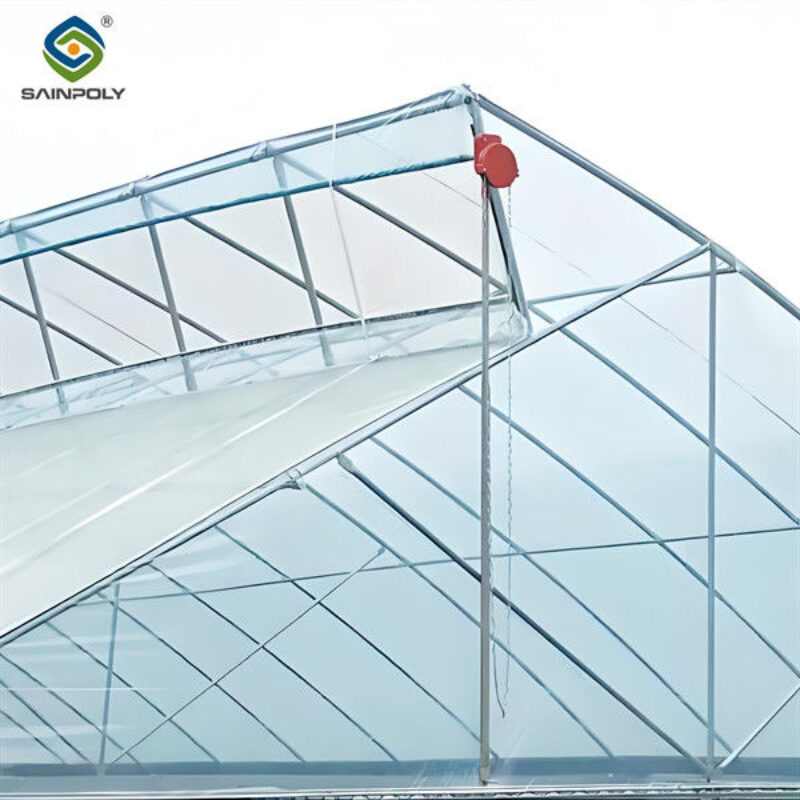 Gothic Frame Greenhouse Large Size Agricultural Multi Span Plastic Film Greenhouse