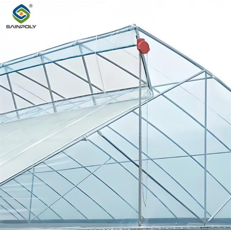 Gothic Frame Greenhouse Large Size Agricultural Multi Span Plastic Film Greenhouse