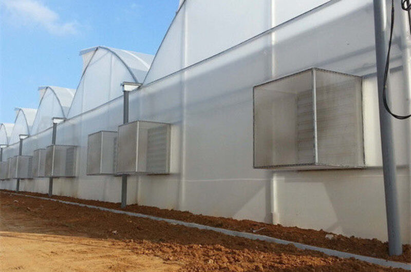 Gothic Frame Greenhouse Large Size Agricultural Multi Span Plastic Film Greenhouse