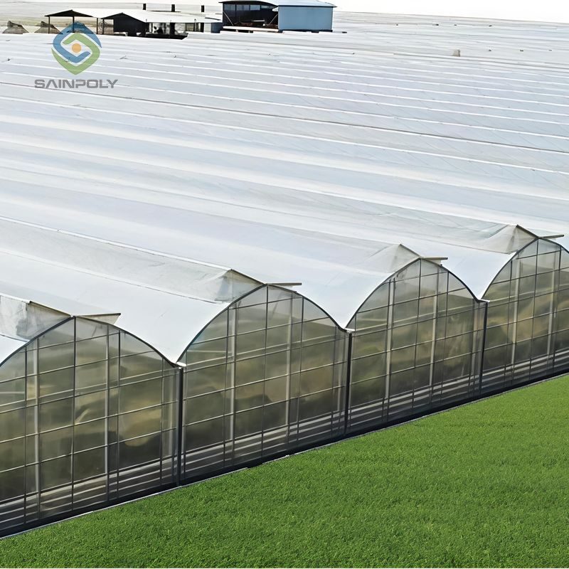 Gothic Greenhouse ( Commercial Series)