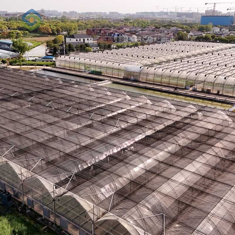 Gothic Greenhouse ( Commercial Series)