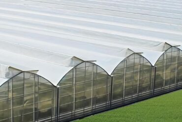 Gothic Greenhouse ( Commercial Series)