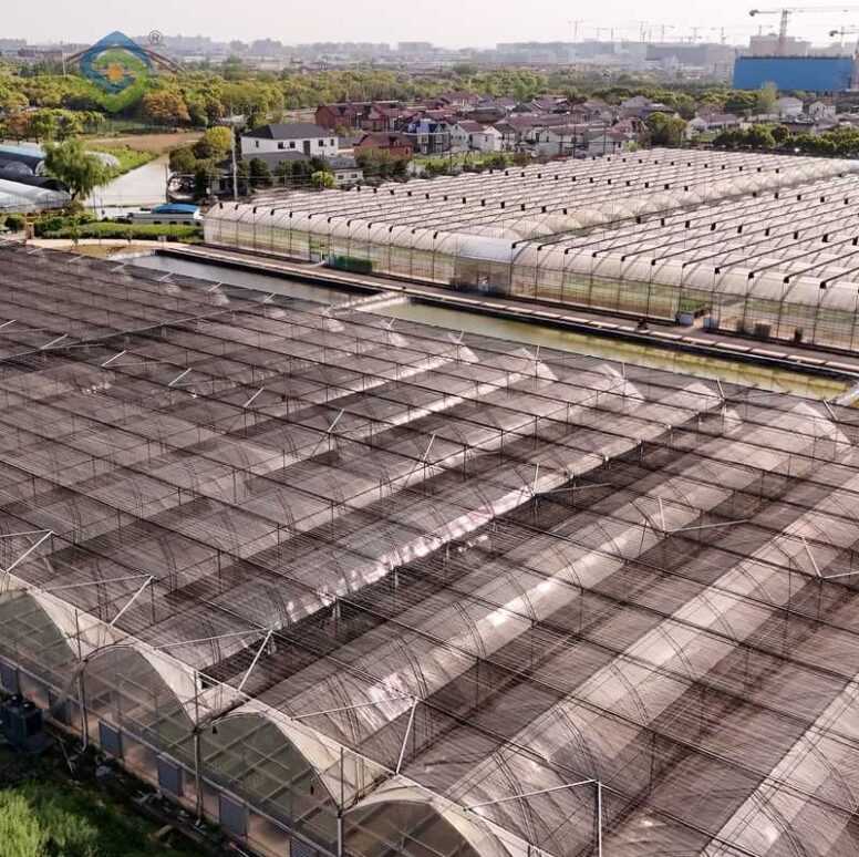 Gothic Greenhouse ( Commercial Series)