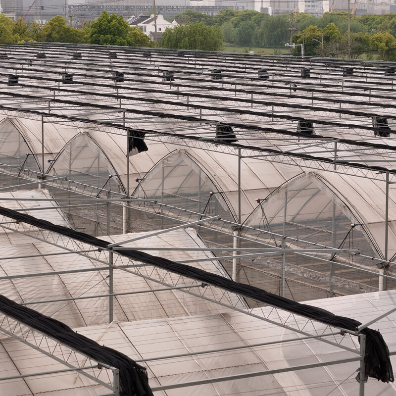 Gothic greenhouse directly supplied by the Shengbaoli factory is equipped with various intelligent