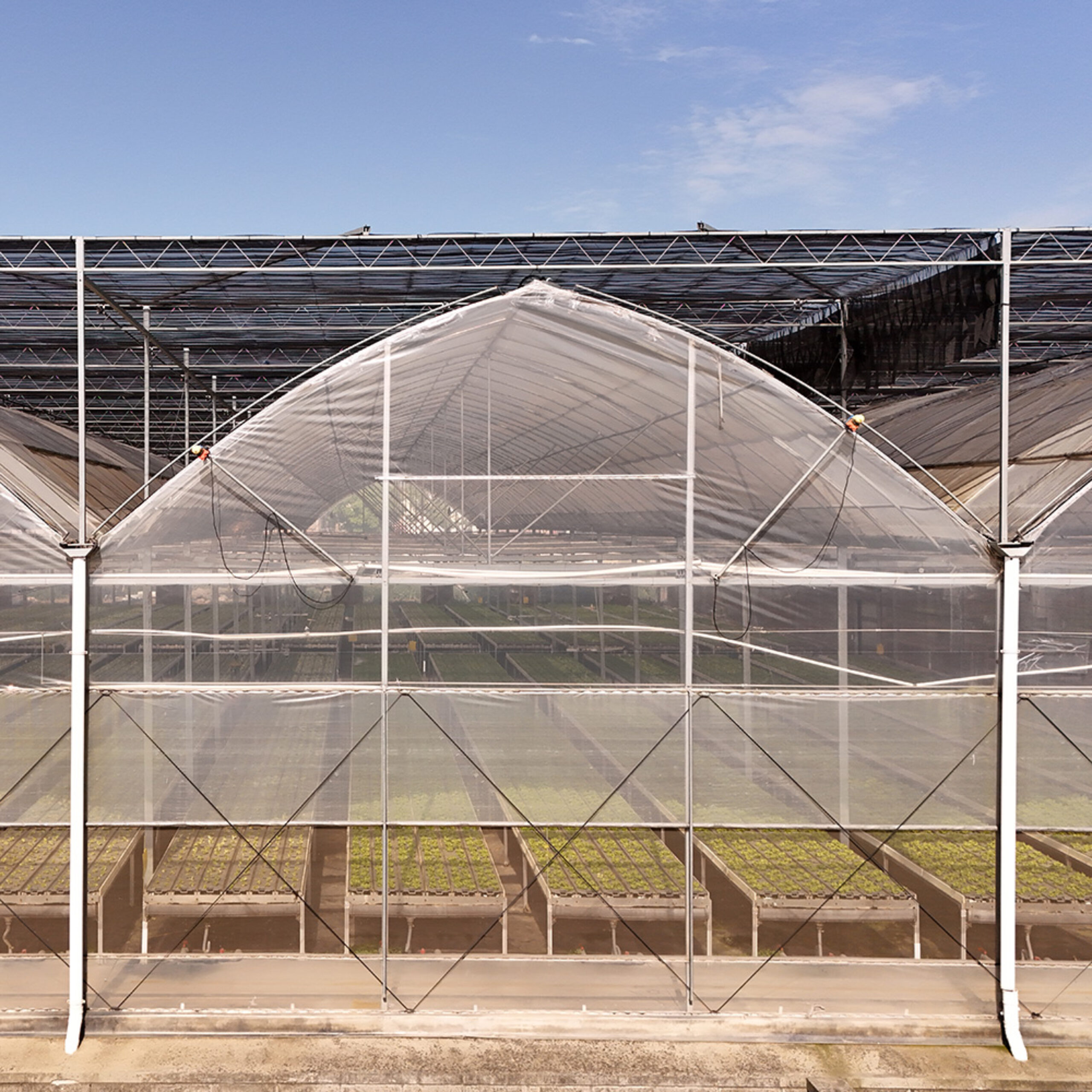Gothic greenhouse directly supplied by the Shengbaoli factory is equipped with various intelligent