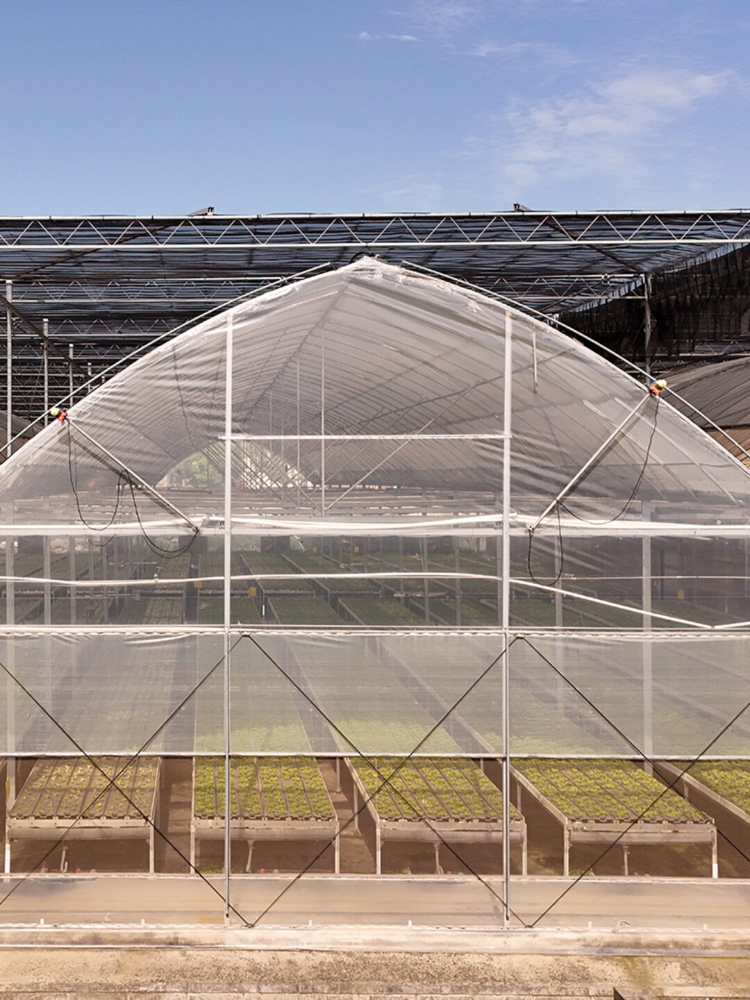 Gothic greenhouse directly supplied by the Shengbaoli factory is equipped with various intelligent