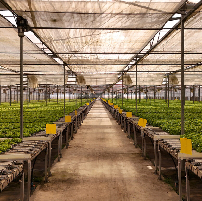 Gothic greenhouse directly supplied by the Shengbaoli factory is equipped with various intelligent