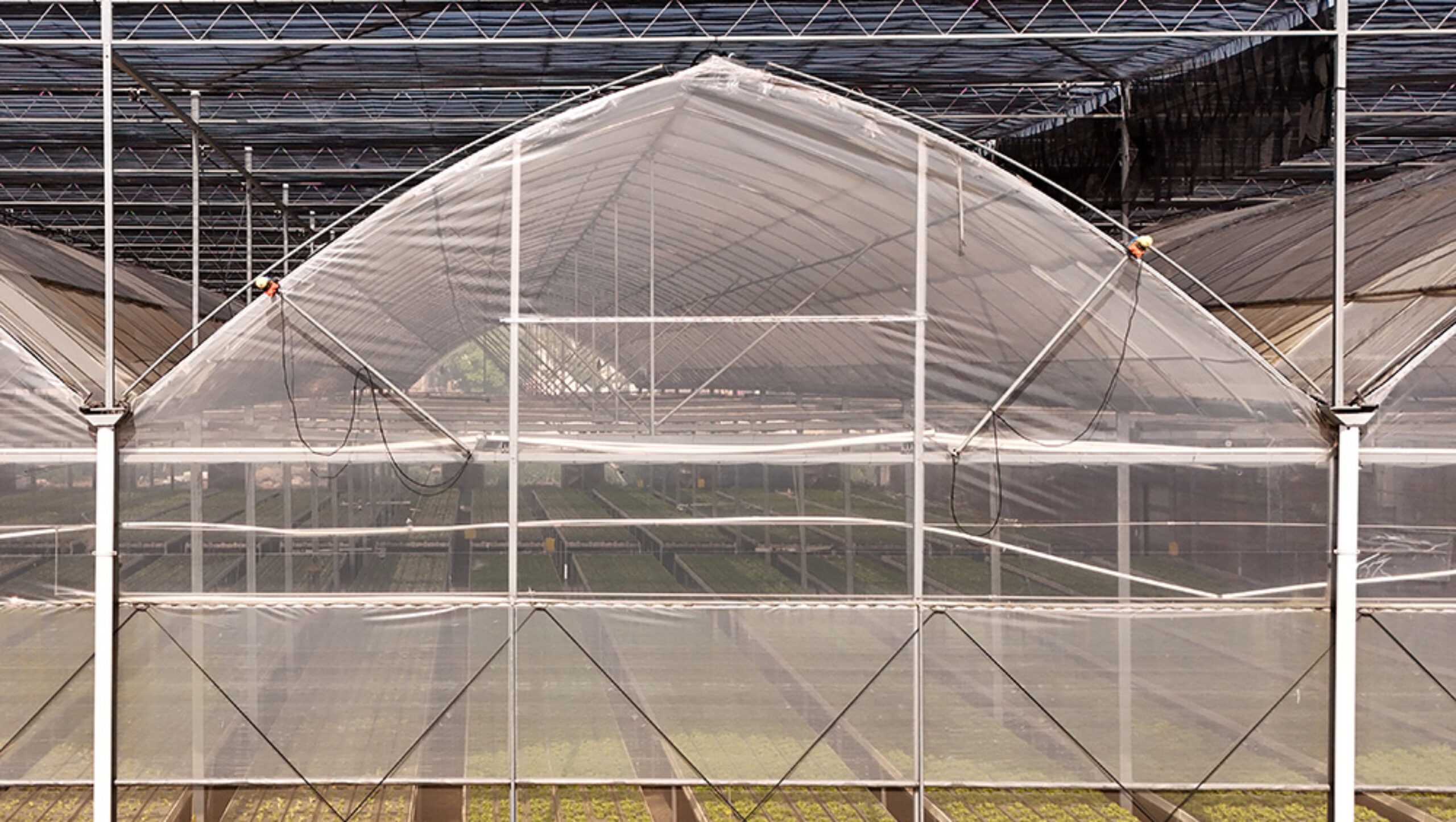Gothic greenhouse directly supplied by the Shengbaoli factory is equipped with various intelligent