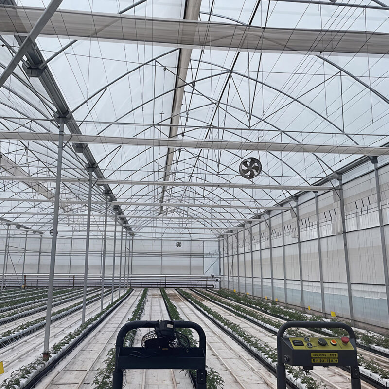 Gothic greenhouse for agricultural product cultivation