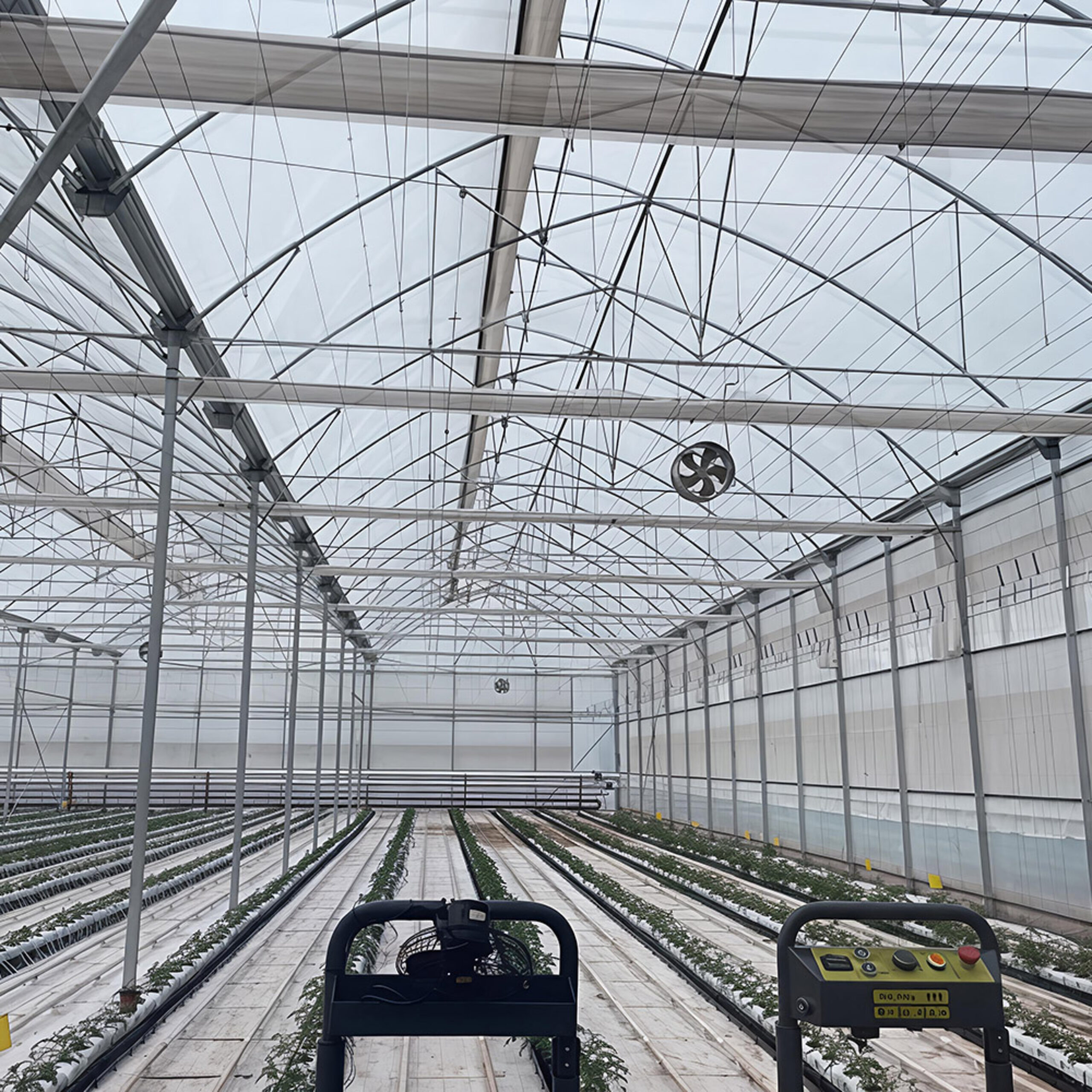 Gothic greenhouse for agricultural product cultivation