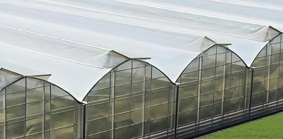 Gothic greenhouse for agricultural product cultivation