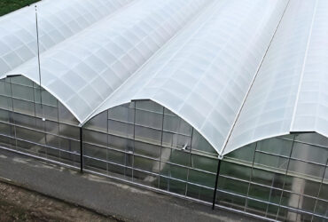 Gothic greenhouse for agricultural product cultivation
