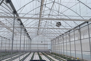 Gothic greenhouse for agricultural product cultivation