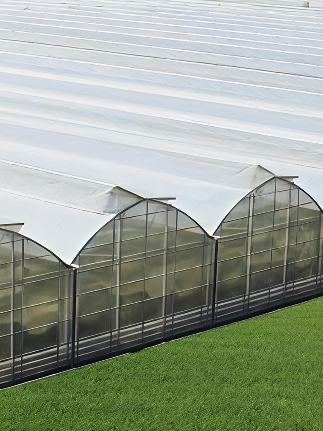 Gothic greenhouse for agricultural product cultivation