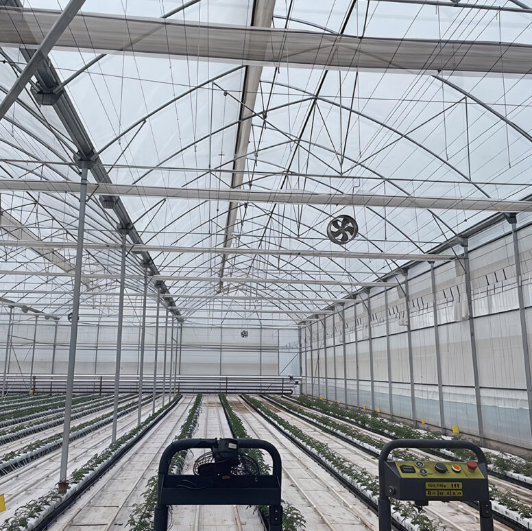 Gothic greenhouse for agricultural product cultivation
