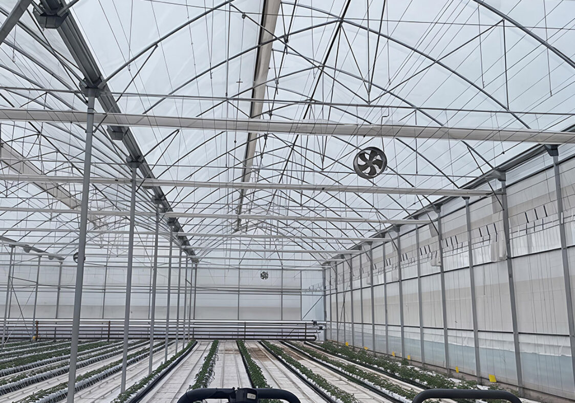 Gothic greenhouse for agricultural product cultivation