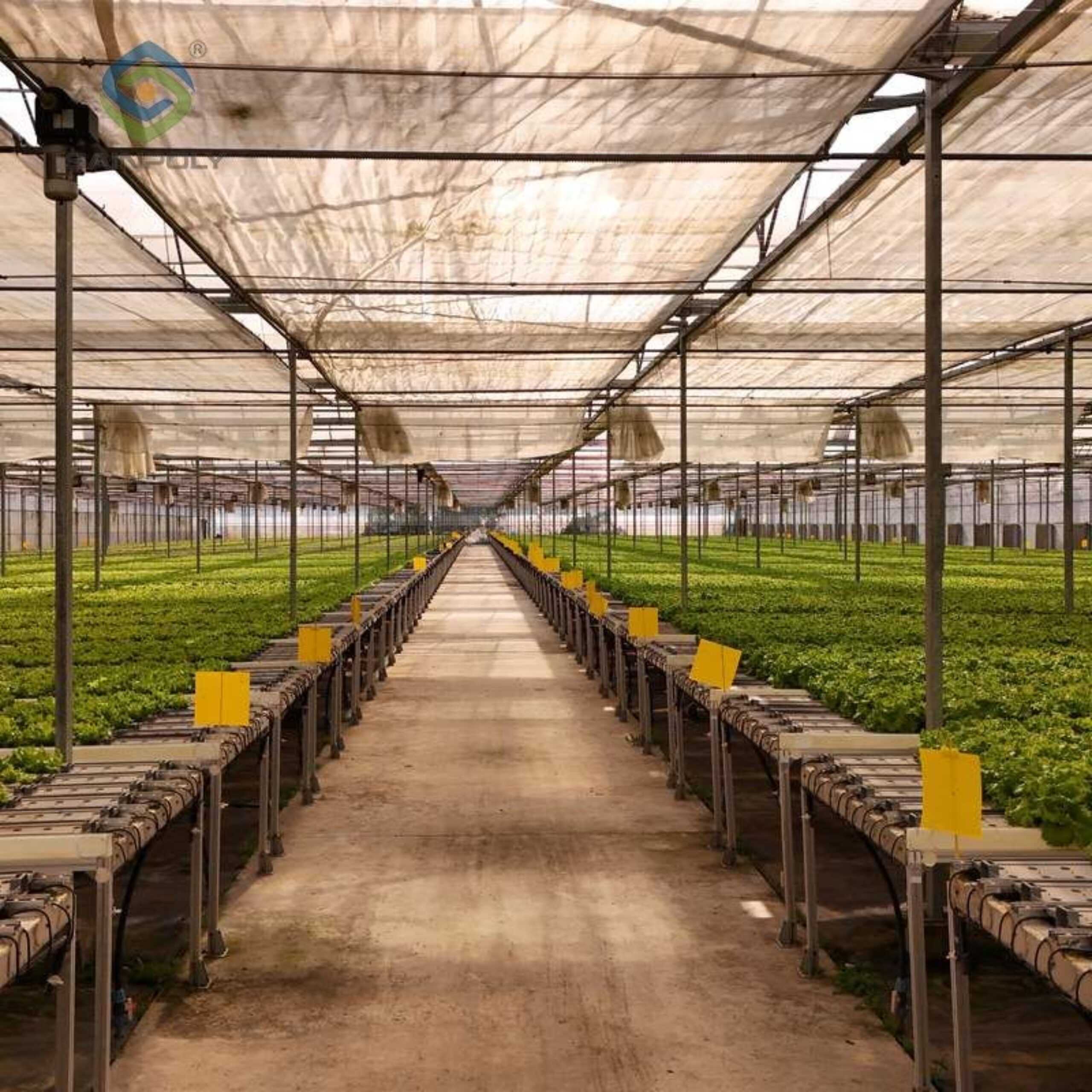 Gothic Greenhouses for Agricultural Production