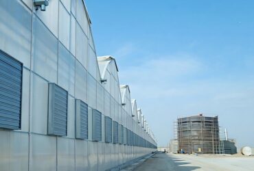 Gothic Greenhouses for Agricultural Production