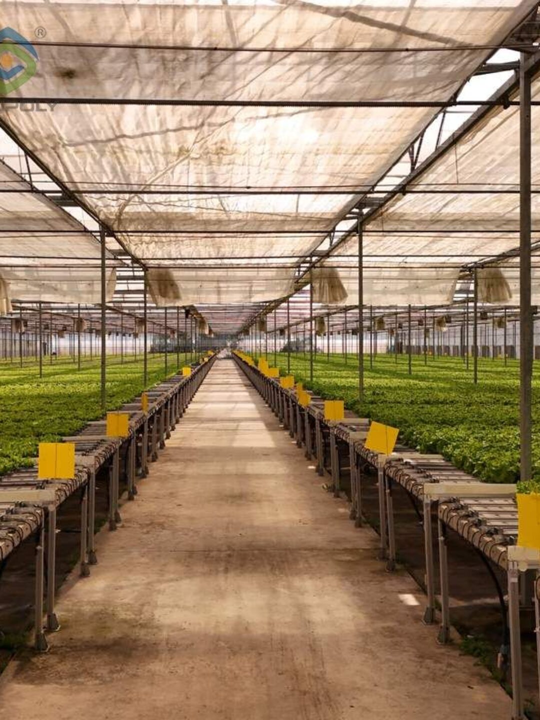 Gothic Greenhouses for Agricultural Production