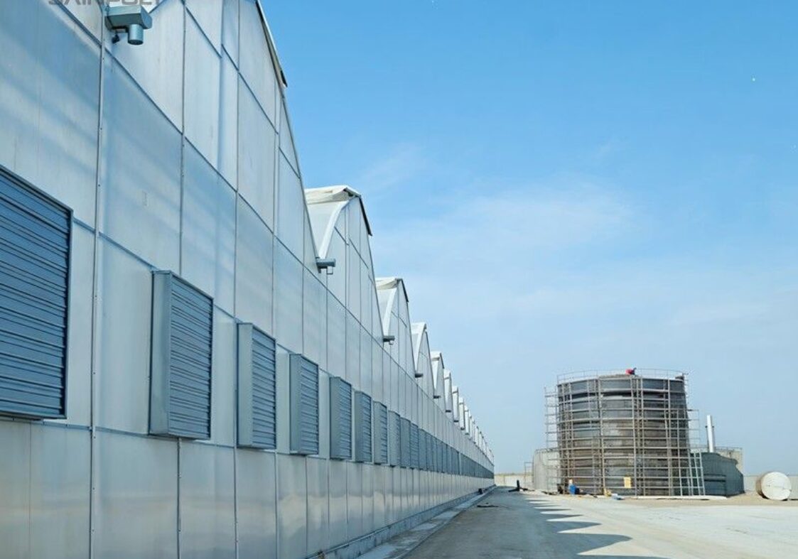 Gothic Greenhouses for Agricultural Production