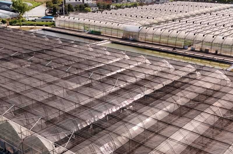 Gothic Greenhouses for Agricultural Production