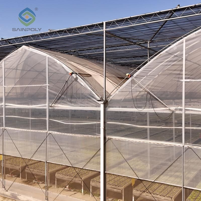 Gothic Greenhouses for Agricultural Production EG-D-F04934