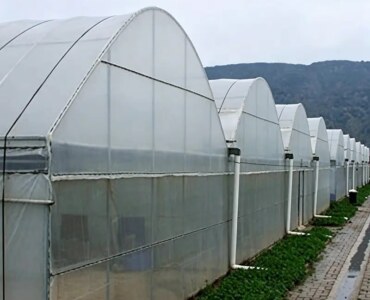 ECO Green House Multi-Span Greenhouse